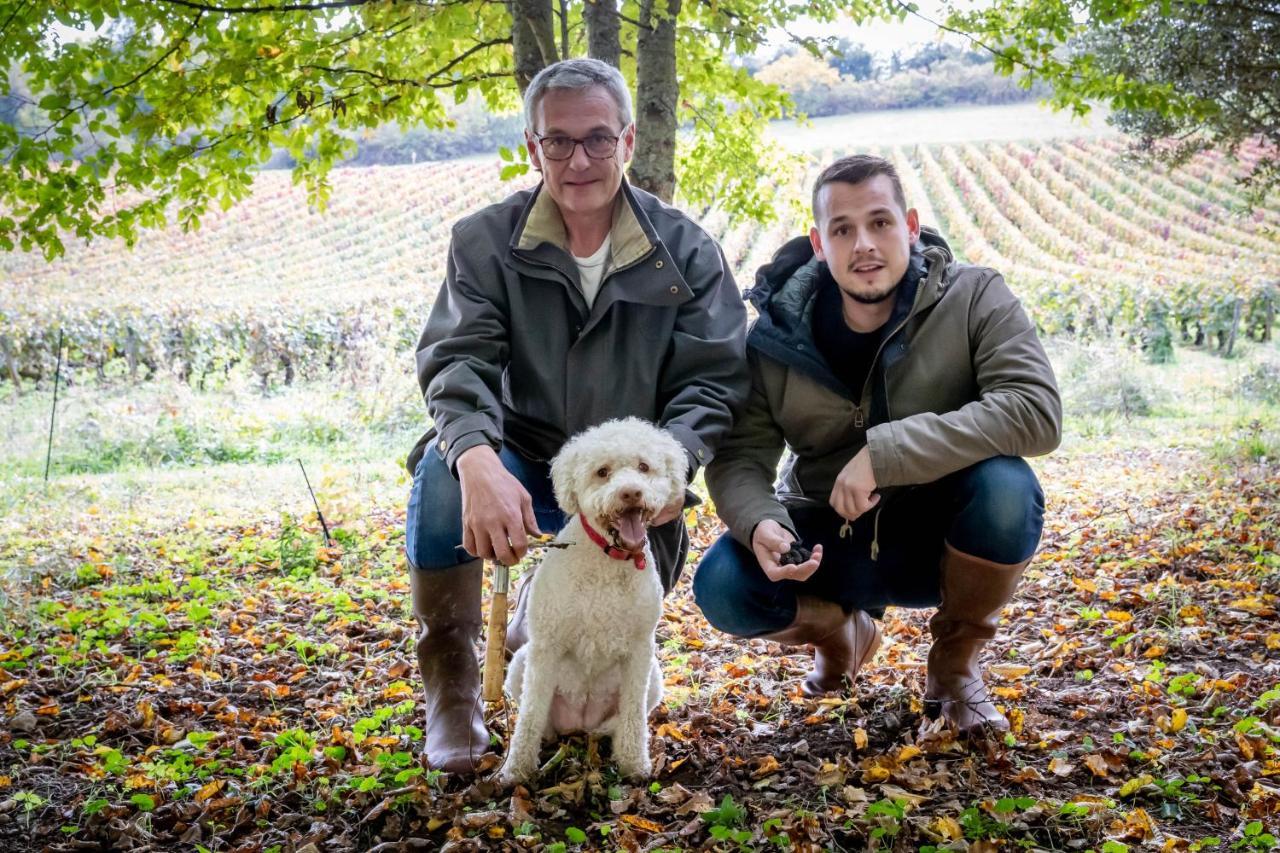 Nantoux Domaine De La Combotte Bed & Breakfast エクステリア 写真